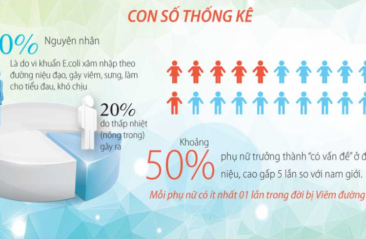 Hiểu tất tần tật về viêm đường tiết niệu Hiểu tất tần tật về viêm đường tiết niệu